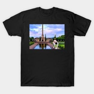 A Stroll at Bastion Pt T-Shirt